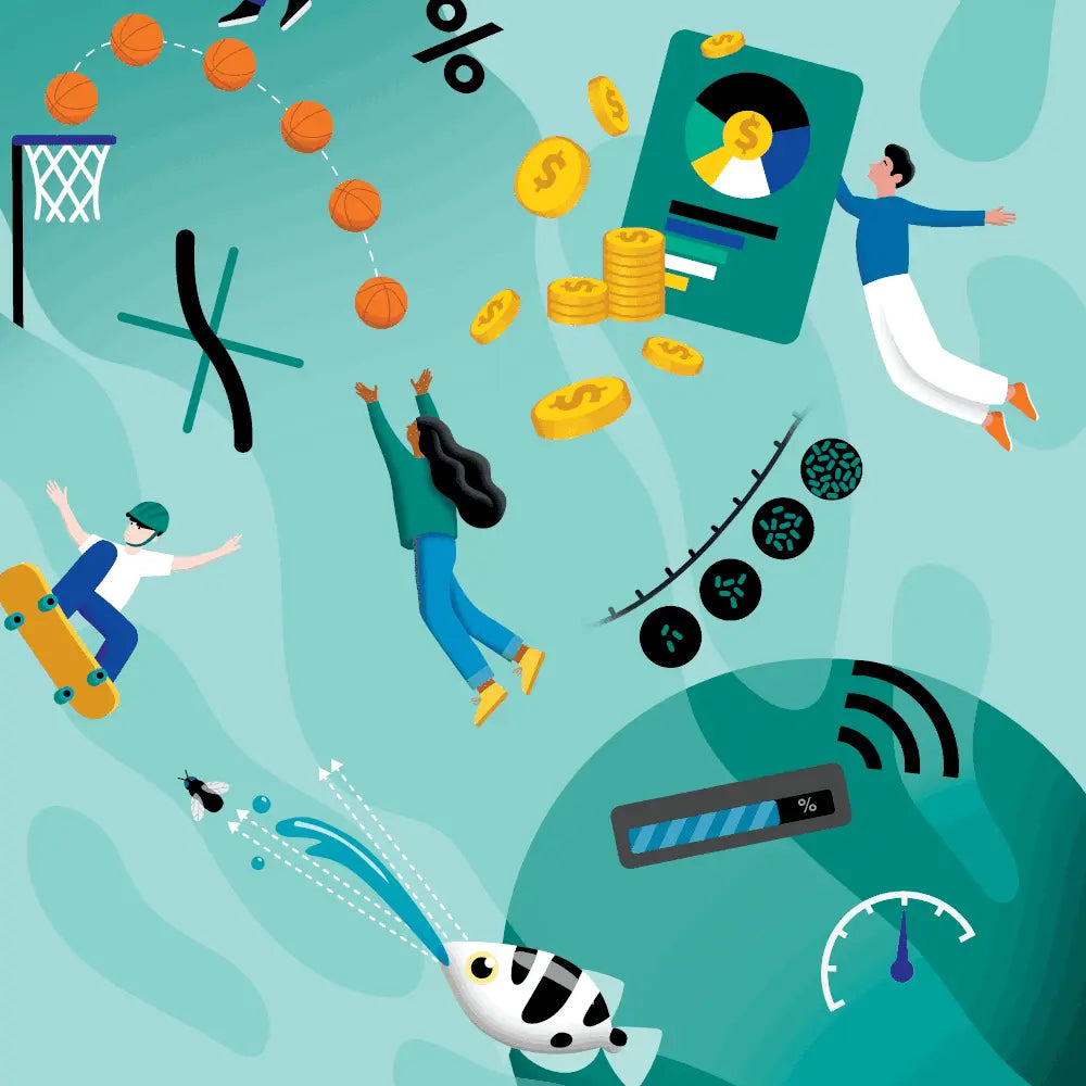 Year-11 Edrolo Store